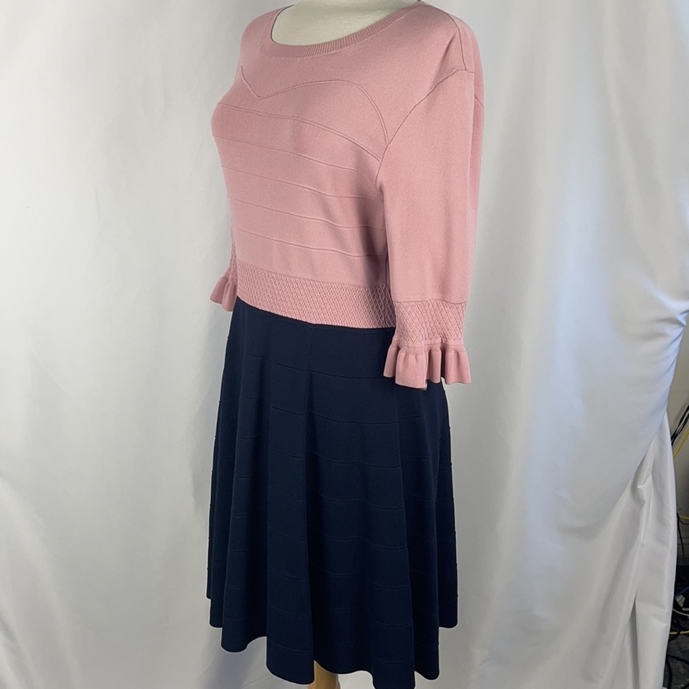 NEW Pink and Navy Knit Dress - Picture 6 of 10